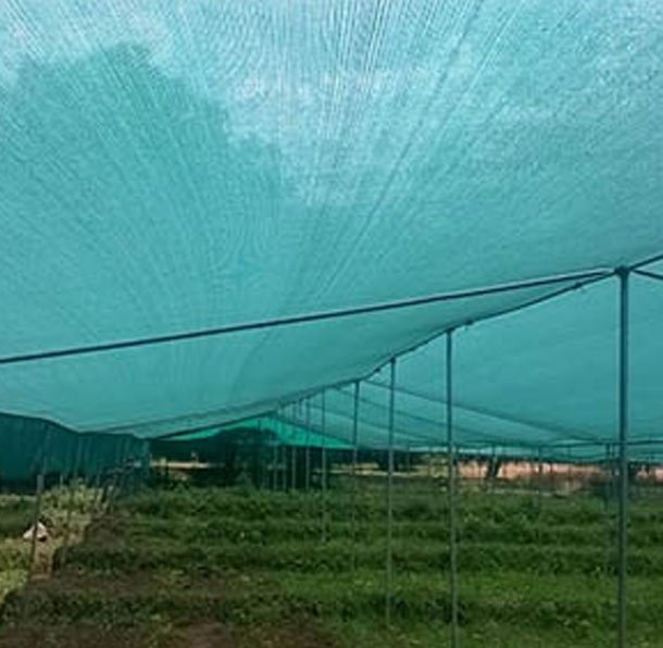 Difference Between Shade Nets & Insect Nets