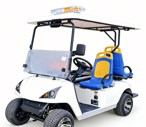 Electric Customzied Cart DG-C2A - Image 2