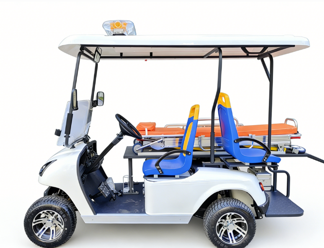 Electric Customzied Cart DG-C2A