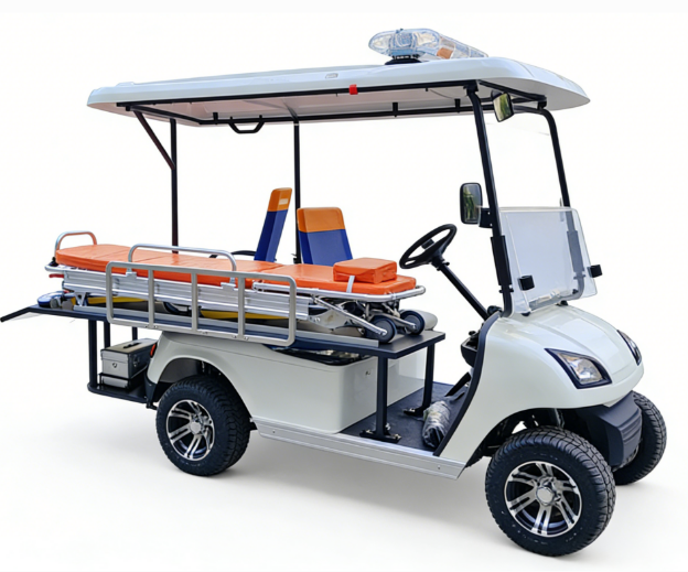 Electric Customzied Cart DG-C2A - Image 3
