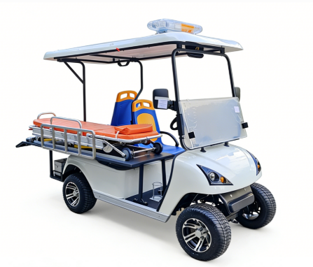 Electric Customzied Cart DG-C2A - Image 5