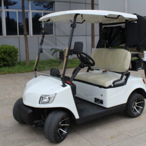 Alternative view of 2 Seater Lithium Battery Golf Cart DG-M2