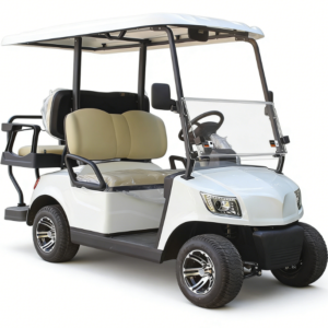Alternative view of 4 Seater Golf Cart DG-M2+2
