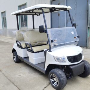 Alternative view of 4 Seater Electric Lithium Battery Golf Cart DG-M4