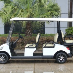 Alternative view of 6 Seater Electric Lithium Battery Golf Cart DG-M4+2