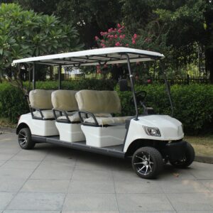 Alternative view of 6 Seater Electric Lithium Battery Golf Cart DG-M6