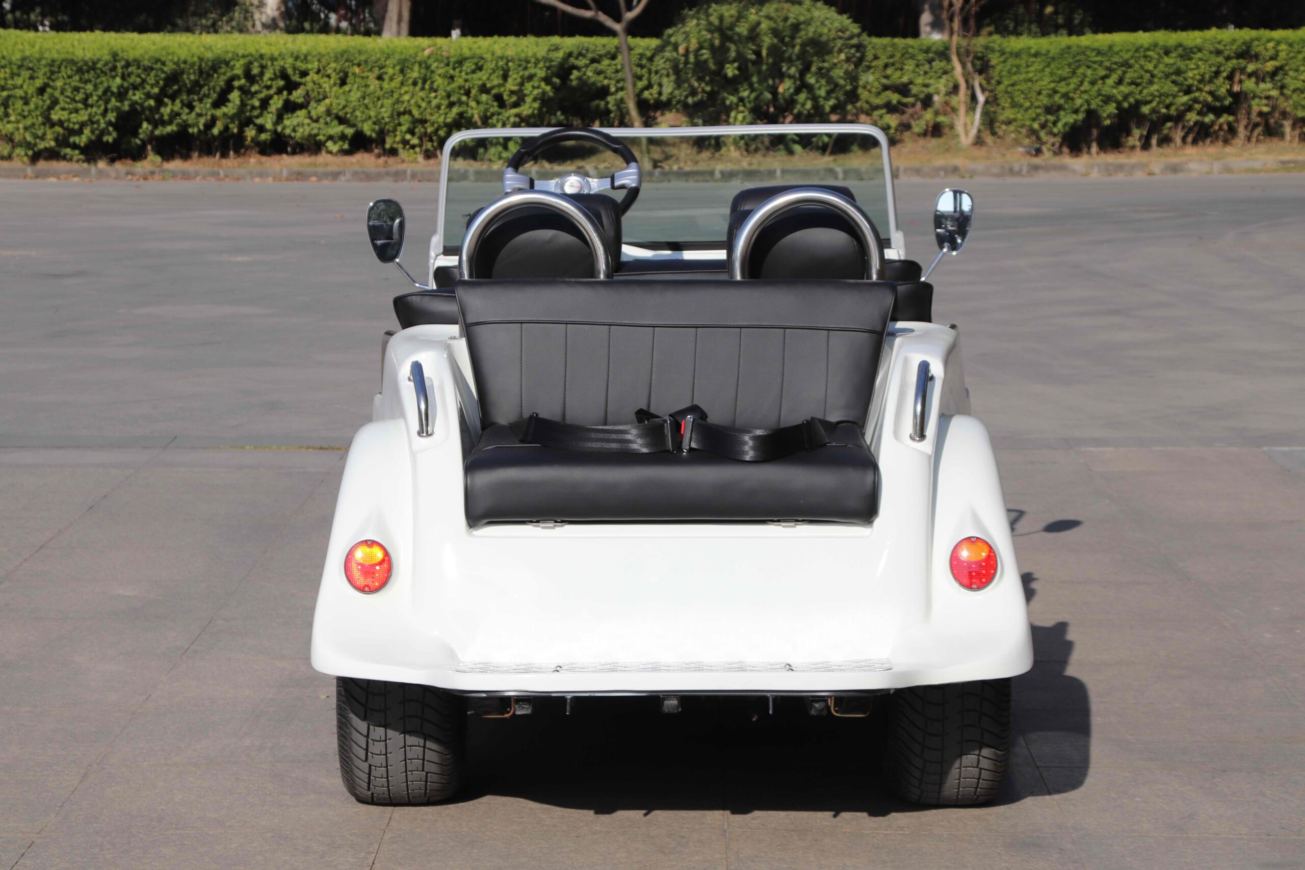 Electric Vintage Cart DN-6D - Image 2